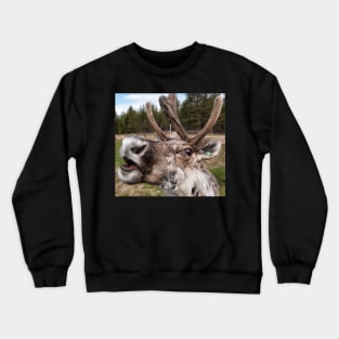 Feed...Me...Now! Crewneck Sweatshirt